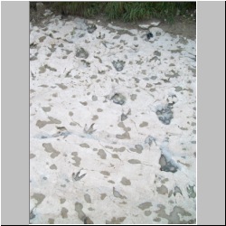 100_0908 (2009-27-07)m.JPG